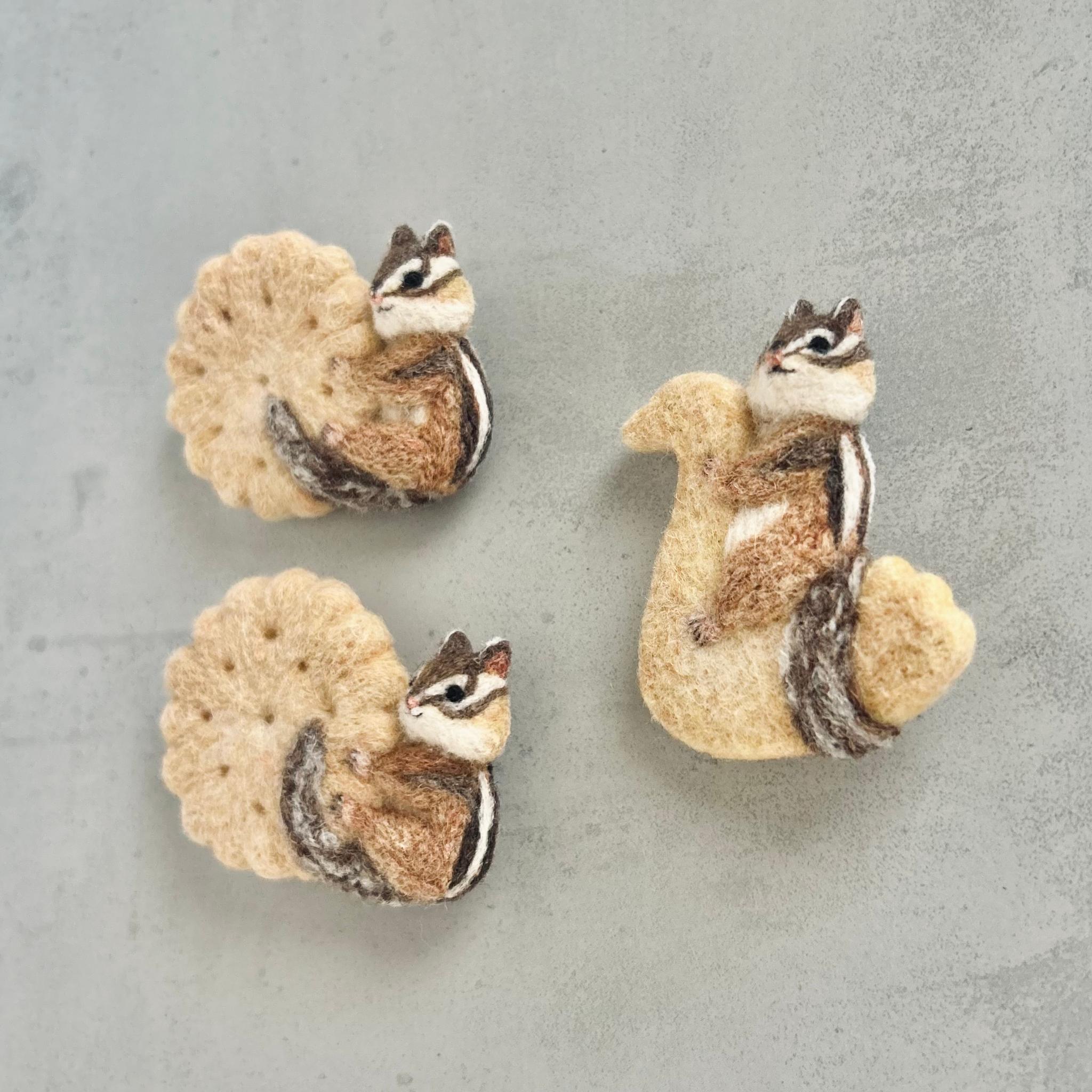 シマリスとビスケットor スワンクッキー号 | 7枚目